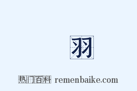 張羽是什么意思的图片